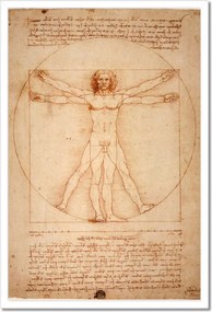 Poszterek keretben 40x60 Da Vinci vitruvius ember