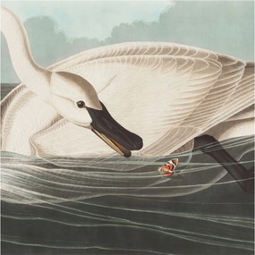 Fali fotótapéta Étkezőbe A természet harmóniája 250x250 Ragasztó