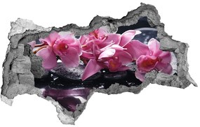 3d lyuk fal dekoráció Rózsaszín orchidea nd-b-28903356