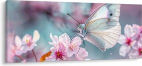 Kép - Pillangó a cseresznyefán (120x50 cm)