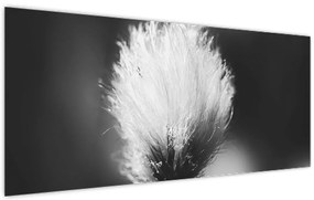 Kép - Fekete-fehér pamutfű (120x50 cm)