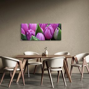 Kép - tulipánok (120x50 cm)