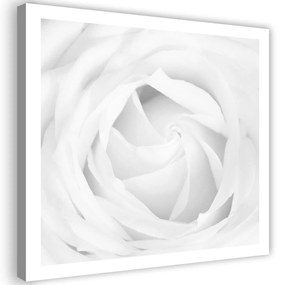 Gario Vászonkép Fehér rózsa Méret: 30 x 30 cm