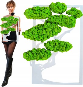 Kép Moha Élő Bonsai Fa Fali Dekoráció