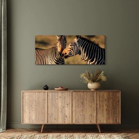 Kép - Két zebra (120x50 cm)