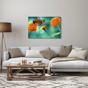 Egy pillangó képe (90x60 cm)