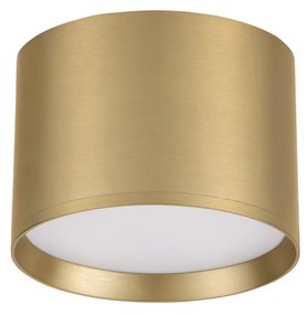 Ziaza LED mennyezeti spotlámpa