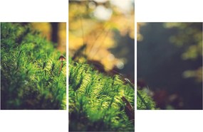 A moha képe gombával (90x60 cm)