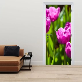 Fotótapéta ajtóra - Tulipánok a réten (95x205cm)