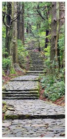 Fotótapéta ajtóra - Lépcső az erdőben (95x205cm)