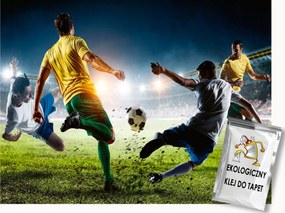 Fotótapéta Flizelina Sport Labdarúgás Foci Stadion Mérkőzés 100x75 ragasztó