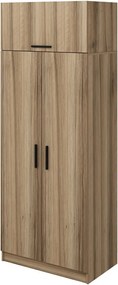Kale Oak - 2238