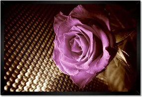 Poszter keretben 60x40 Rózsa Lila és szépia