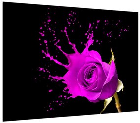 Lila rózsa képe (70x50 cm)