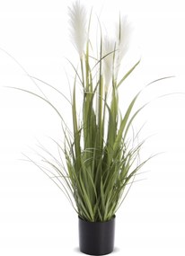 Zöld fű dekoratív növény egy cserépben