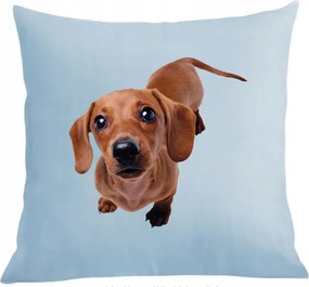 Párna+párnahuzat Tacskó Kutya Divatos Nyomtatás