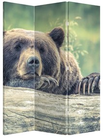 Paraván - Medve (126x170 cm)