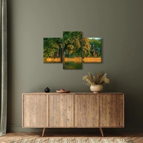 Zsiráf a természetben képe (90x60 cm)