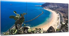 Vászonkép 180x90 Pillantás a kaktusz mögül