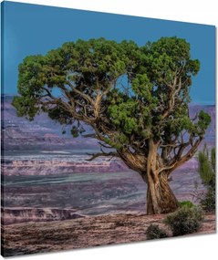 Vászonkép 60x60 Kilátás Tájkép