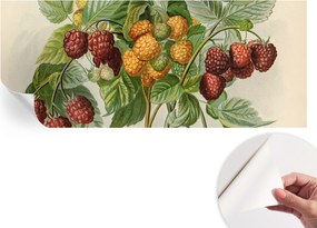 Öntapadós tapéta Divatos 3D fali ragasztóval Klasszikus málna 250x104 cm