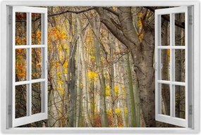 Poszterek 120x80 Tájkép Látvány