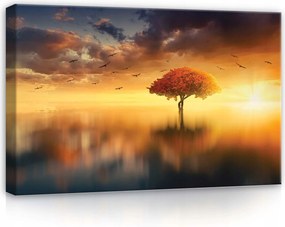 Vászonkép 60x40 Naplemente fa tó ég nyugalom természet
