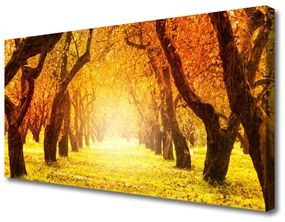 Canvas kép Erdei fák természet Path 100x50 cm