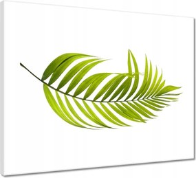 Vászonkép 50x40 Zöld levél Minimalizmus