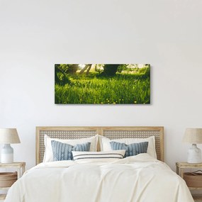 Tájkép - rét (120x50 cm)