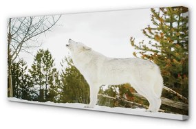 Canvas képek Wolf téli erdőben 140x70 cm