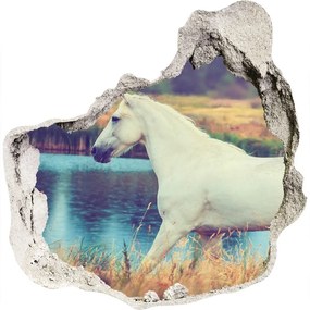 3d lyuk fal dekoráció White horse-tó nd-p-87150545