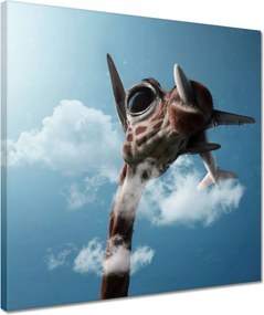 Vászonkép 40x40 Repülőgépek Repülőgép