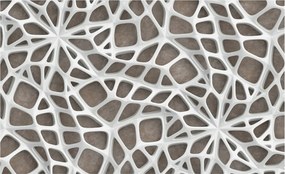 Dekoratív Fali Fotótapéta Falra Geometrikus háló 416x254 Ragasztó