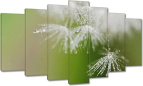 Vászonkép 140x80 Pitypang Virág Virágok