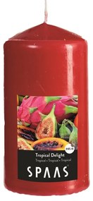 SPAAS Illatos gyertya henger 8x15cm trópusi