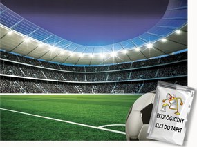 Fotótapéta Flizelina Sport Stadion Labdarúgó Pálya Mérkőzés 400x280 ragasztó