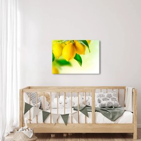 A citrom képe (70x50 cm)