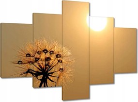 Vászonkép 100x70 Pitypang Virág Virágok