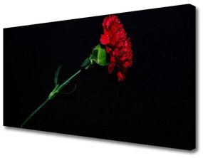 Canvas kép Természet virág növény 125x50 cm