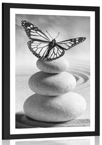 Poszter paszportuval a kövek és a pillangók egyensúlya fekete-fehérben