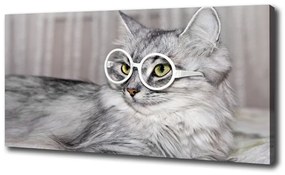 Vászonkép Cat szemüveg oc-115959381