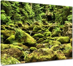 Vászonkép 50x40 Tátra Lengyel hegyek Kilátás