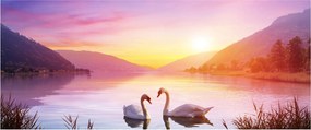 Szerelmes hattyúk képe (120x50 cm)