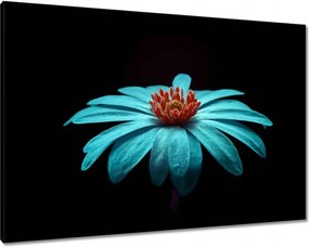 Vászonkép 100x70 Türkiz virág