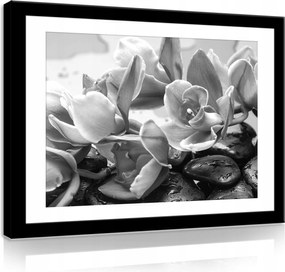 Vászonkép 80x60 Orchideák virágok kövek nyugalom természet pihenés fekete-fehér