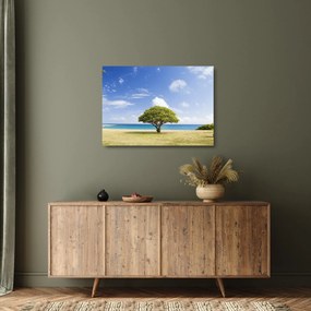 Fa a tengerparton (üvegen) (70x50 cm)