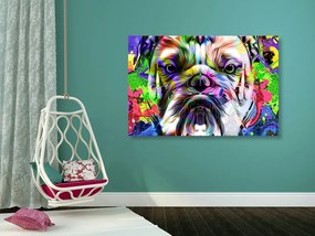 Kép pop art francia bulldog