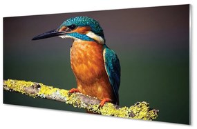 Üvegképek Színes madár egy ágon 100x50 cm