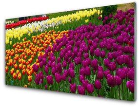 Fali üvegkép tulipán virágok 100x50 cm